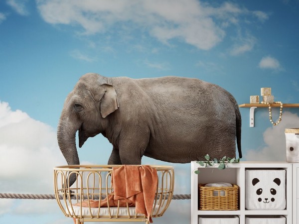 Elephant on tightrope photowallpaper Scandiwall