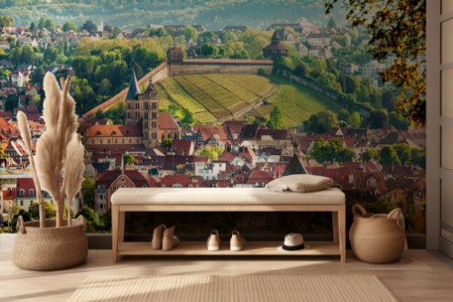 View of Esslingen am Neckar Germany with castle photowallpaper Scandiwall