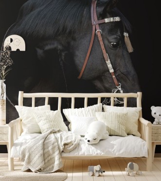 Black horse in the bridle on black background isolated photowallpaper Scandiwall