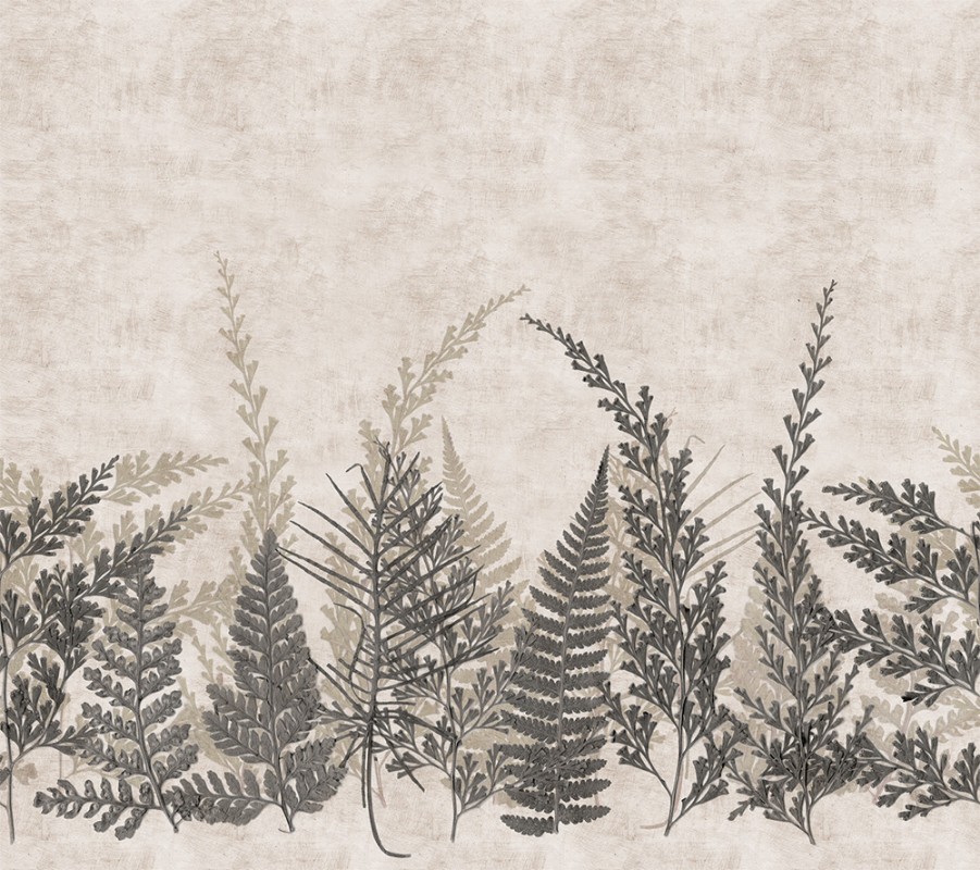 Fern - HED27292 wallpaper Midbec