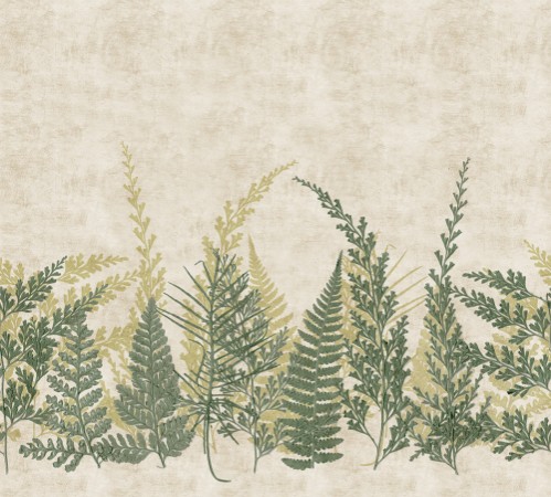 Fern - HED27293 wallpaper Midbec