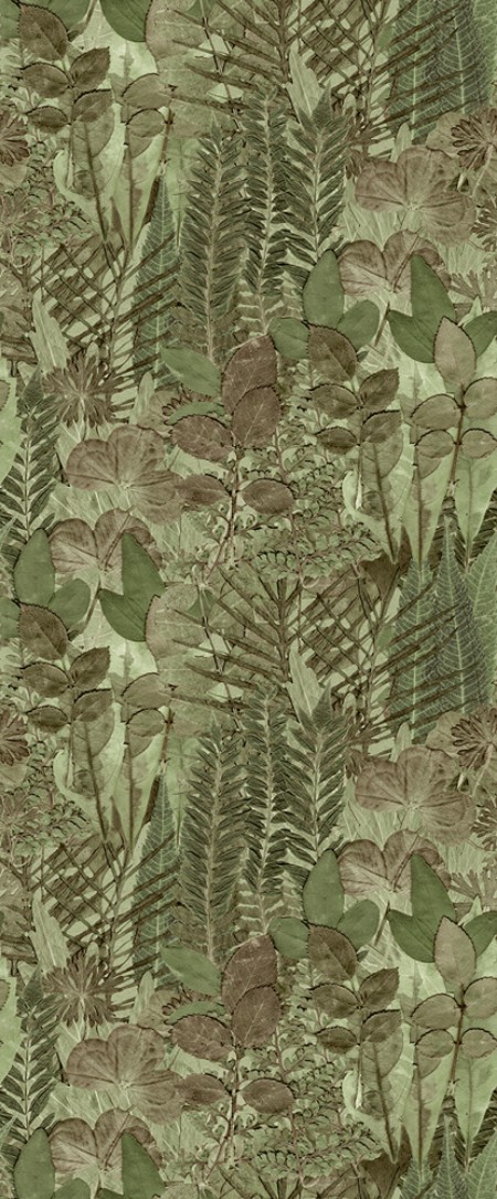 Herbarium - HED27295 wallpaper Midbec