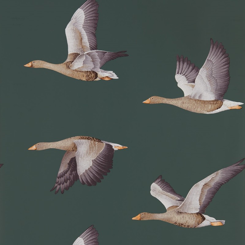 Afbeeldingen van Elysian Geese (Wallpaper) Amsterdam Green - DYSI216608-OUTLET