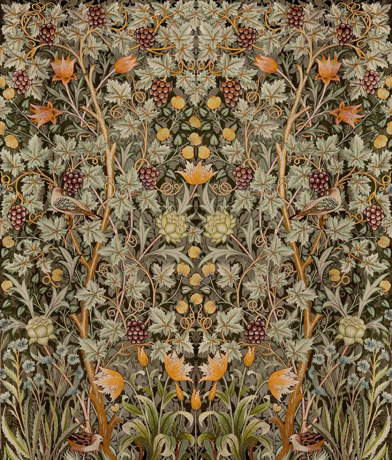 Vine Embroidery - HT84004 wallpaper Midbec