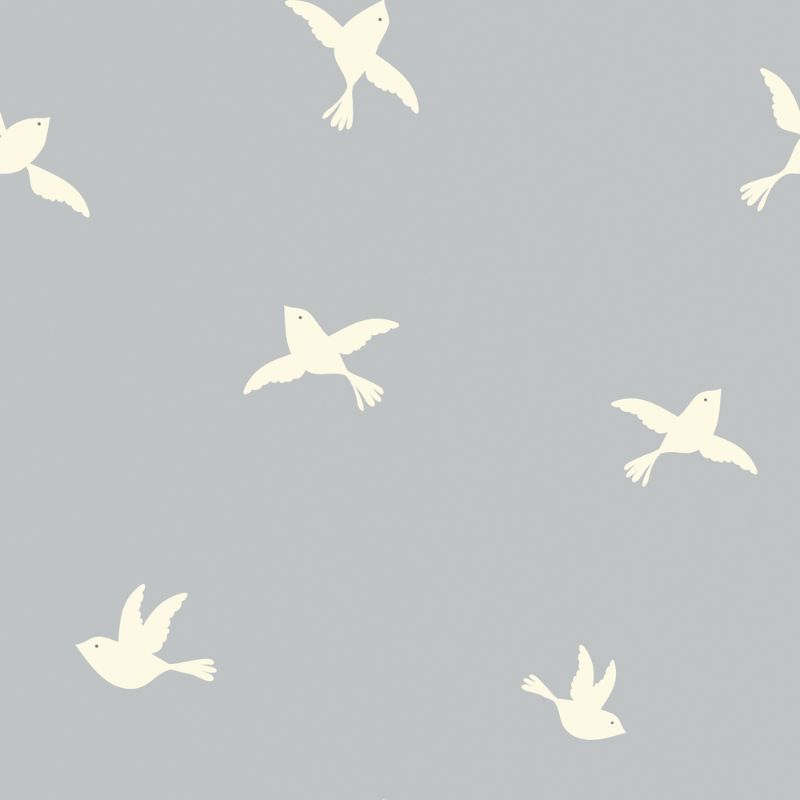 Freedom fly W33 - 1030601-03 wallpaper Wallpassion