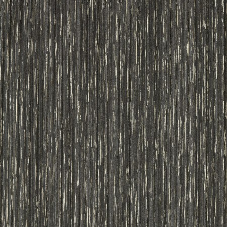 Asper Charcoal/Gilver - W0205/01 wallpaper Clarke & Clarke