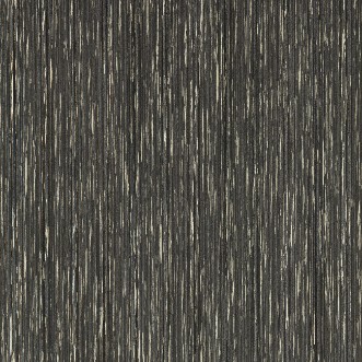 Asper Charcoal/Gilver - W0205/01 wallpaper Clarke & Clarke