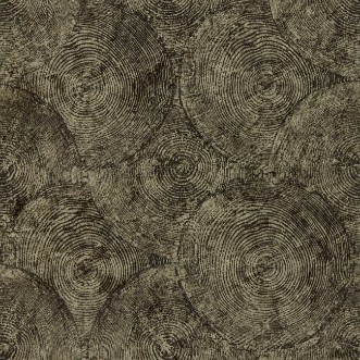 Silvan Charcoal/Gilver - W0209/01 wallpaper Clarke & Clarke