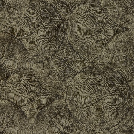 Silvan Charcoal/Gilver - W0209/01 wallpaper Clarke & Clarke