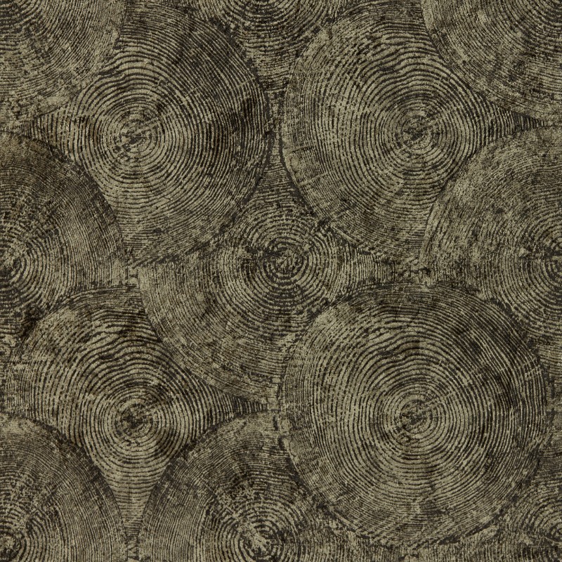 Silvan Charcoal/Gilver - W0209/01 wallpaper Clarke & Clarke